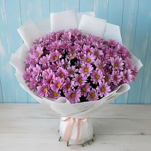 Букет цветов из:  Хризантемы #REPLACE_PRED# Ленинский Тульская область