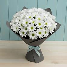 Букет цветов из:  Хризантемы #REPLACE_PRED# Ленинский Тульская область
