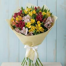 Букет цветов из:  Альстромерии #REPLACE_PRED# Ленинский Тульская область