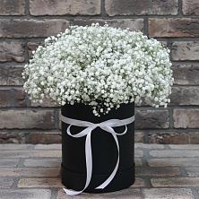 Цветочная композиция из Гипсофила в шляпной коробке в Ленинский Тульская область